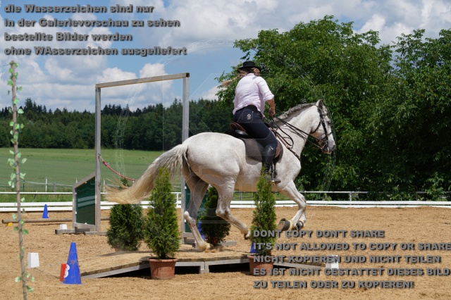 s_K3F06228.JPG